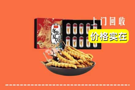 青原区回收冬虫夏草